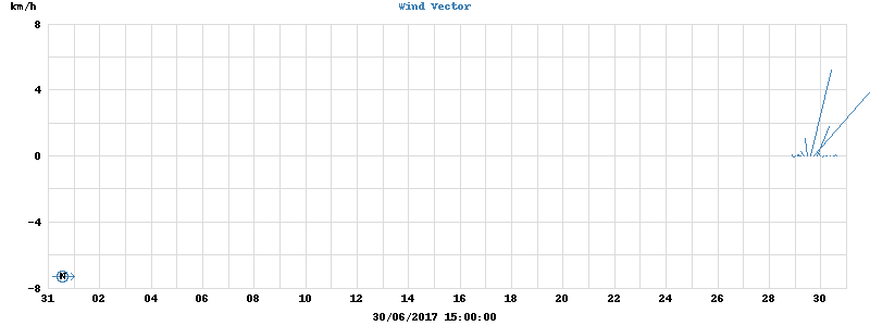 Wind Vector